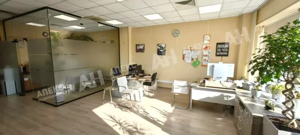 Помещение свободного назначения в Москва Средняя Калитниковская ул., ... - Фото 2