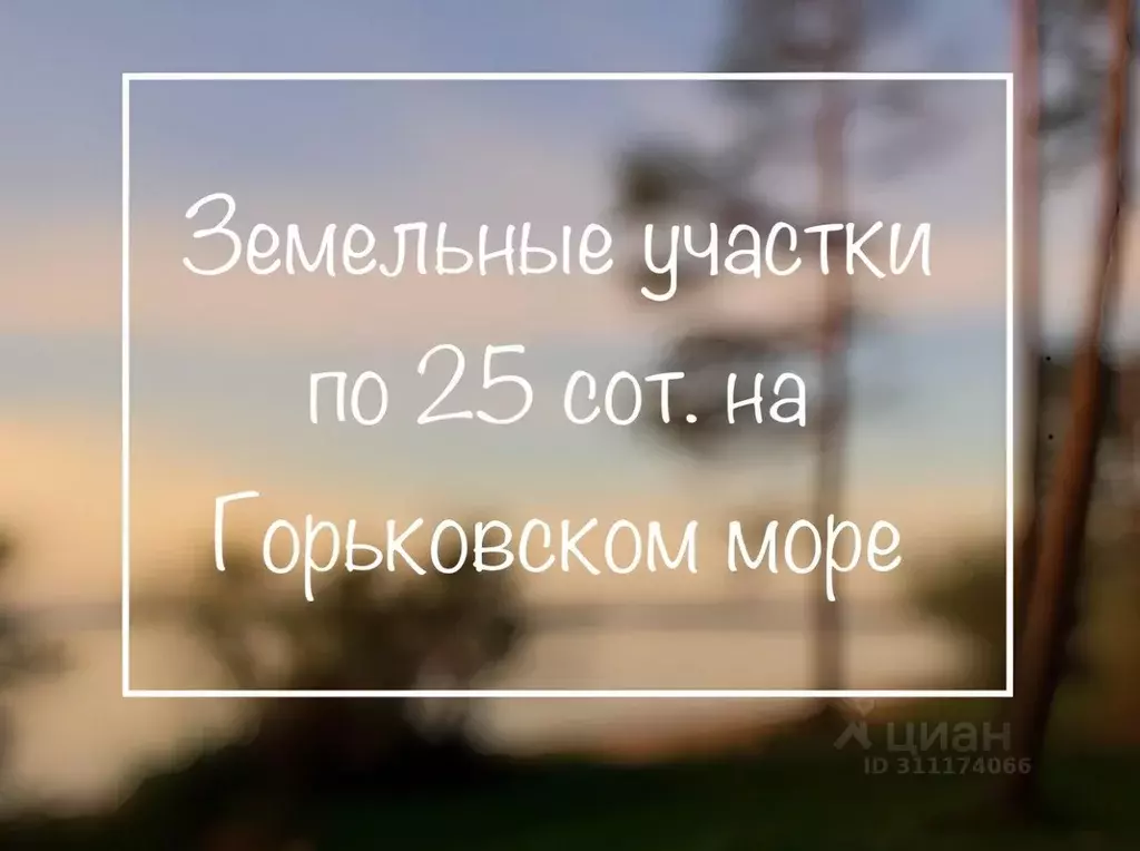 Участок в Нижегородская область, Сокольский городской округ, д. ... - Фото 1