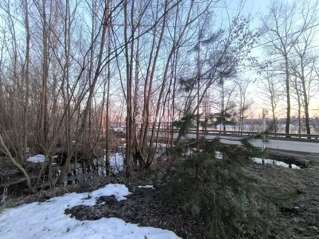 Участок в Ярославская область, Рыбинск Бурлацкая ул. (20.0 сот.) - Фото 2