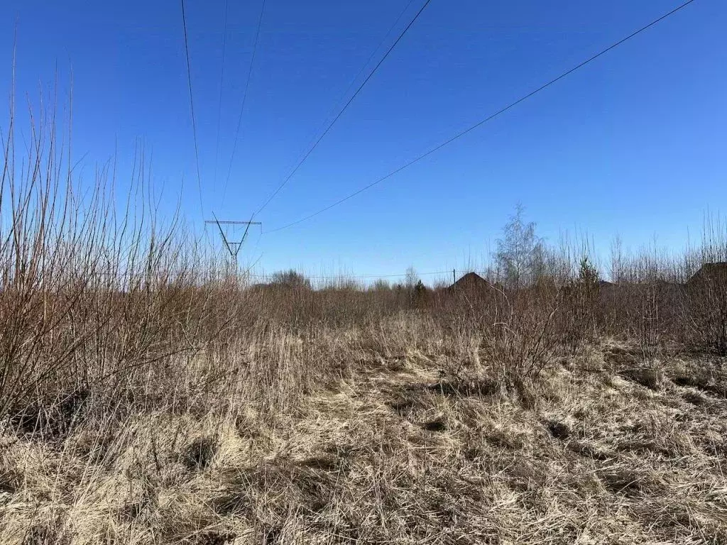 Участок в Владимирская область, Суздальский район, Новоалександровское ... - Фото 0