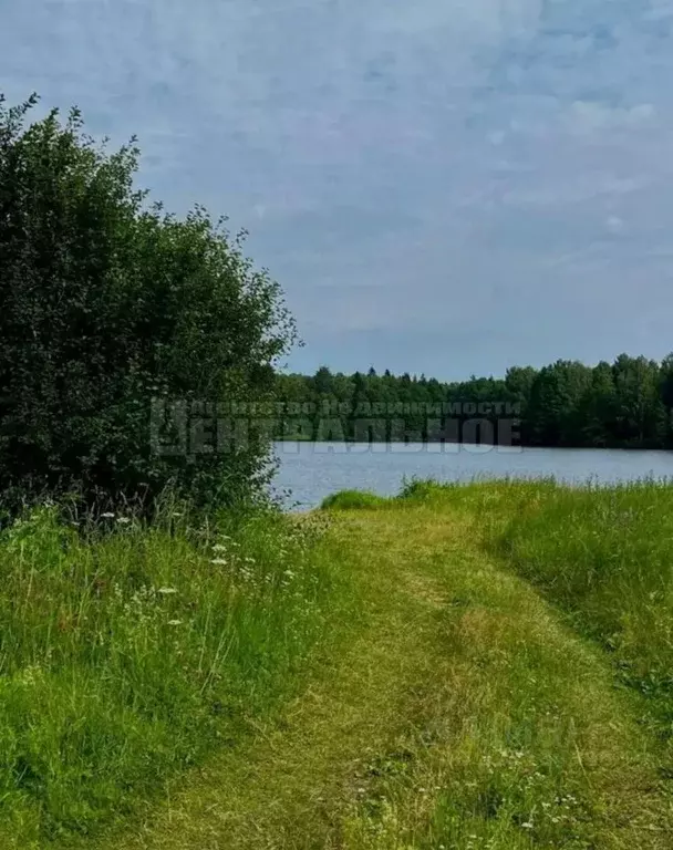 Участок в Смоленская область, Рославльский муниципальный округ, д. ... - Фото 1