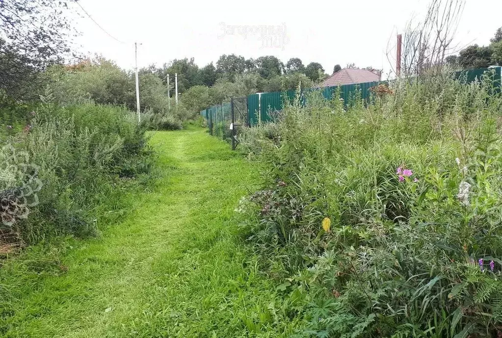 Участок в Московская область, Химки городской округ, д. Шемякино ул. ... - Фото 1