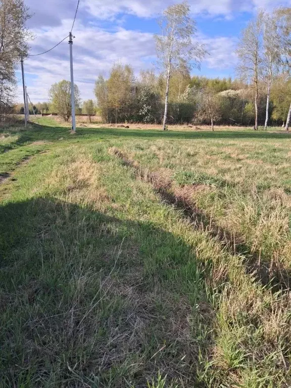 Участок в Московская область, Орехово-Зуевский городской округ, д. ... - Фото 1