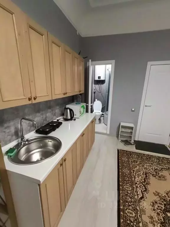 1-к кв. Ярославская область, Ярославль ул. Волкова, 3 (22.0 м) - Фото 2