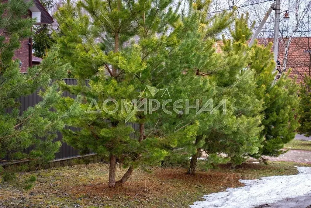 Участок в Москва д. Милюково,  (15.0 сот.) - Фото 1