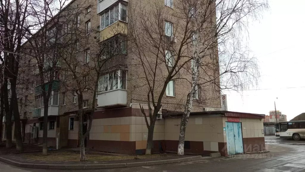 1-к кв. Московская область, Фрязино ул. Нахимова, 23 (30.0 м) - Фото 2
