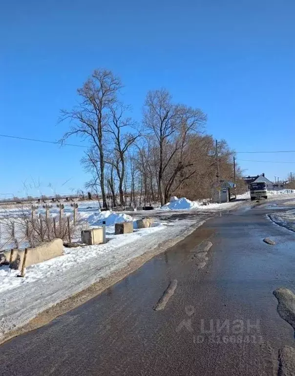 Участок в Воронежская область, с. Новая Усмань пл. Мира (10.0 сот.) - Фото 0