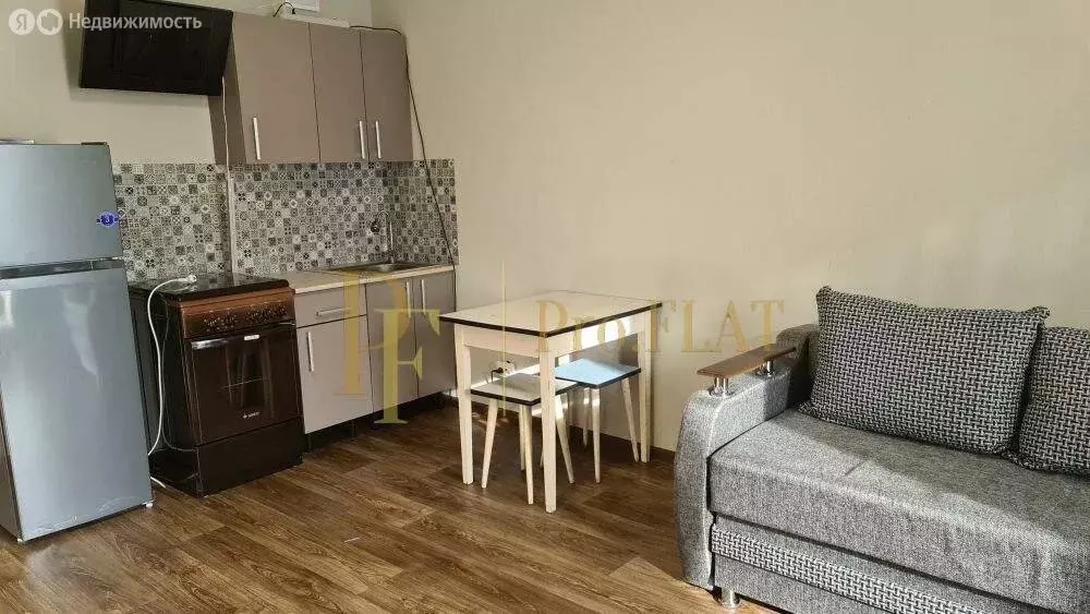 Квартира-студия: Мурино, проспект Авиаторов Балтики, 11/1 (25 м) - Фото 2