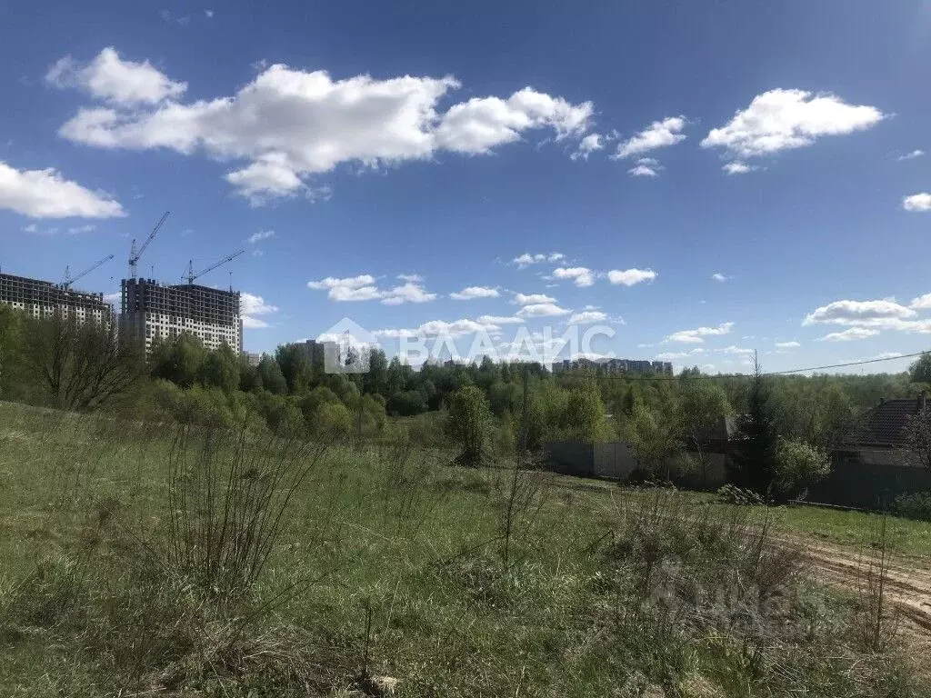 Участок в Владимирская область, Суздальский район, Новоалександровское ... - Фото 0