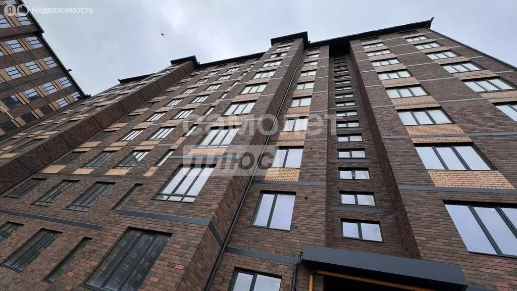 1-комнатная квартира: Махачкала, проспект Насрутдинова, 246 (58 м) - Фото 2