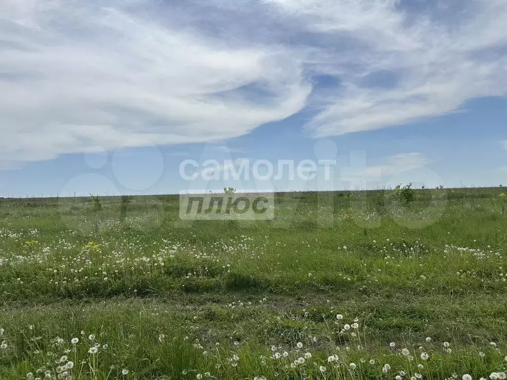 Участок 10 сот. (ИЖС) - Фото 0