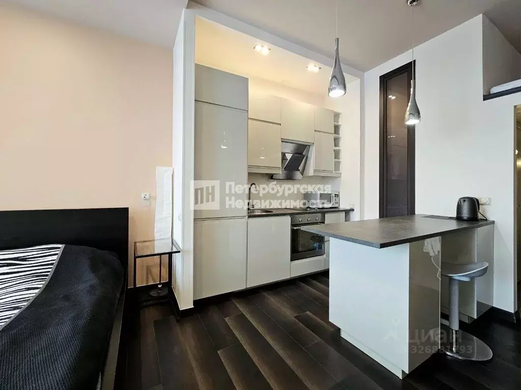 Студия Санкт-Петербург просп. Юрия Гагарина, 7 (32.6 м) - Фото 1