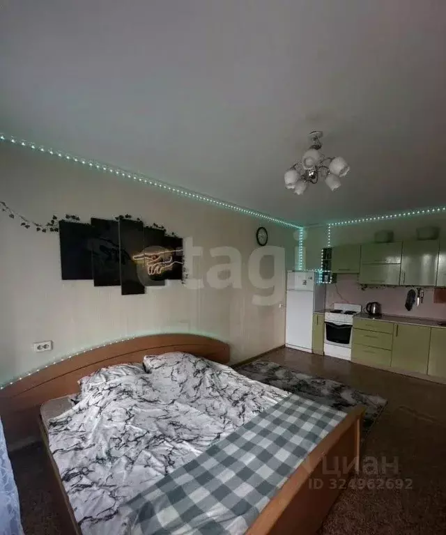 Студия Новосибирская область, Новосибирск ул. Сибиряков-Гвардейцев, 82 ... - Фото 2