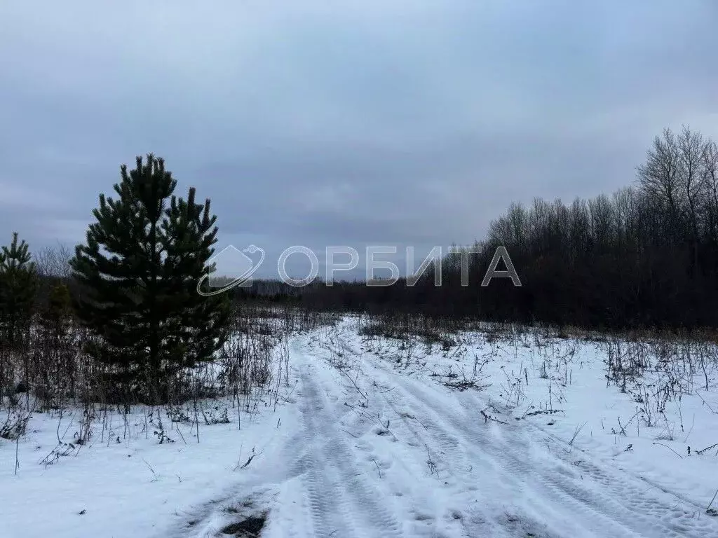 Участок в Тюменская область, Тюменский район, с. Горьковка  (8.15 ... - Фото 0