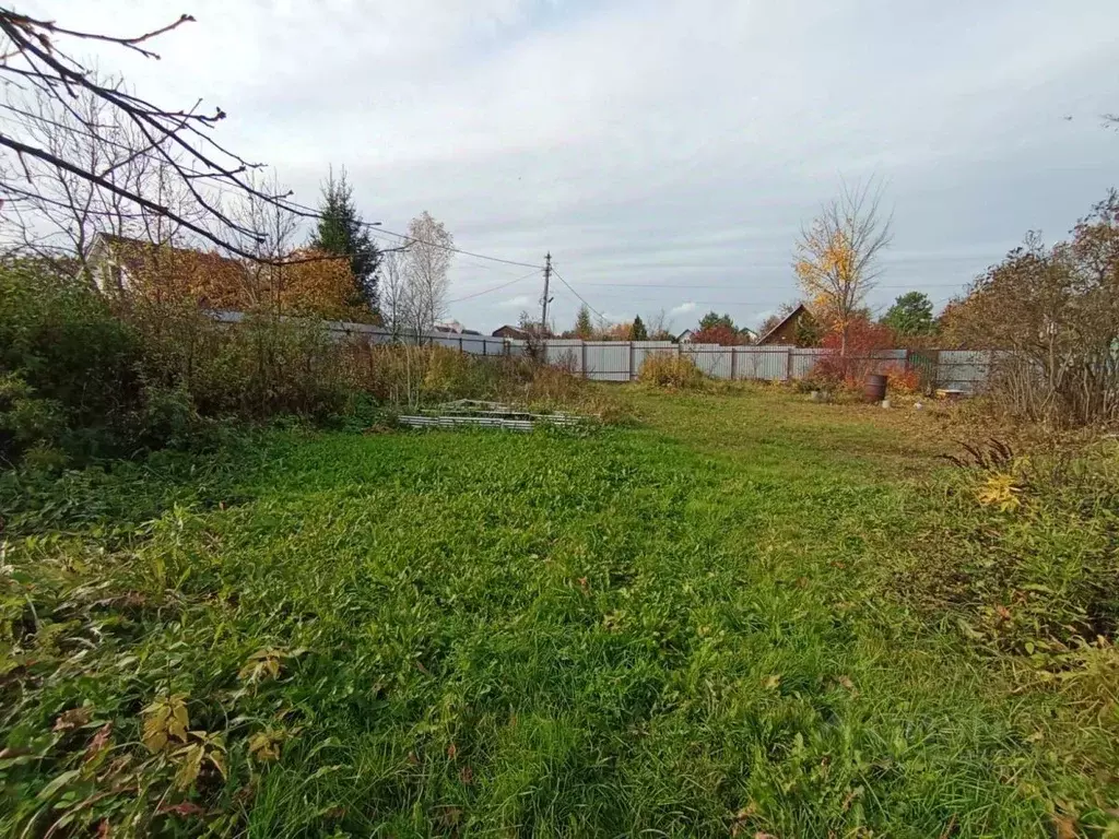 Участок в Владимирская область, Александровский муниципальный округ, ... - Фото 2