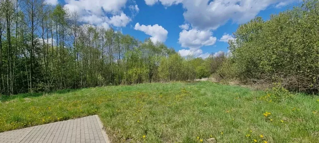 Участок в Москва № 40 кв-л,  (10.0 сот.) - Фото 2