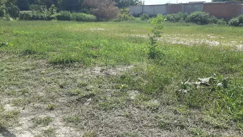 Участок в Саратовская область, Балашов ул. Софинского, 18 (18.0 сот.) - Фото 0