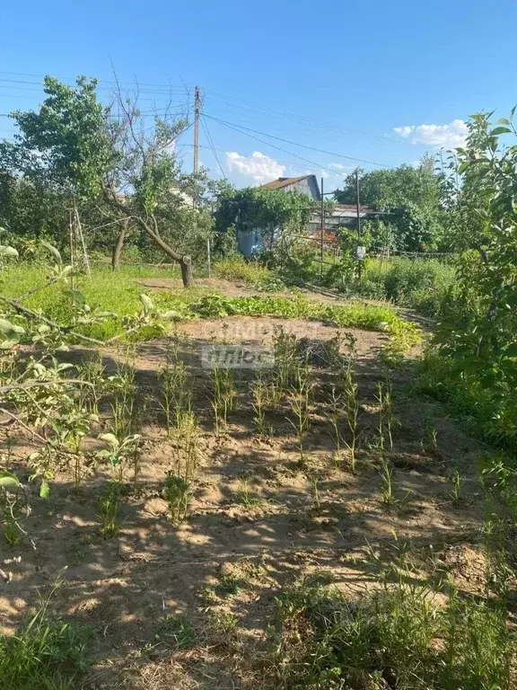 Участок в Астраханская область, Наримановский район, Бережок садовое ... - Фото 0