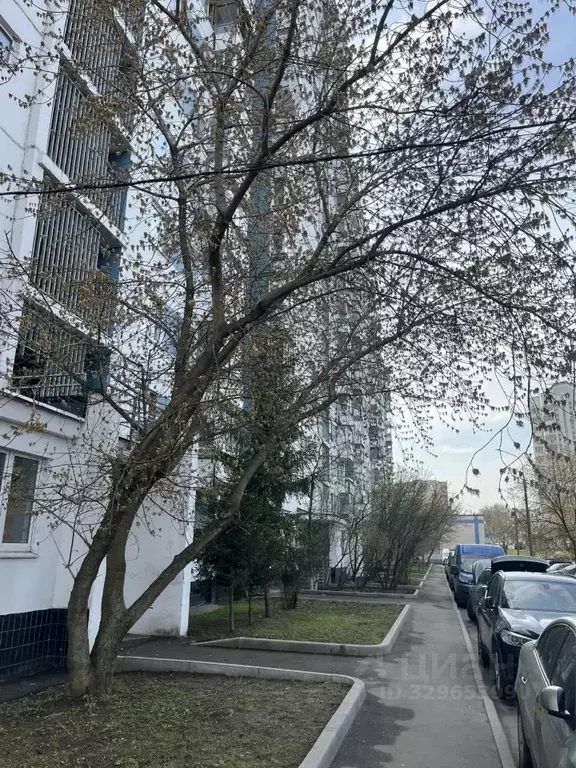 Офис в Москва Нагатинская наб., 54 (14 м) - Фото 1