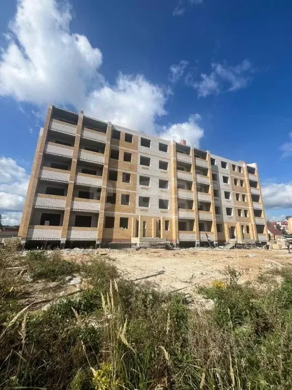 1-к кв. Владимирская область, Покров городской округ, пос. Вольгинский ... - Фото 1