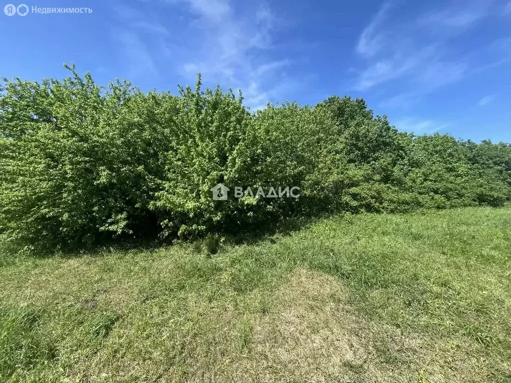 Участок в село Оленевка, улица Колончик (20 м) - Фото 2
