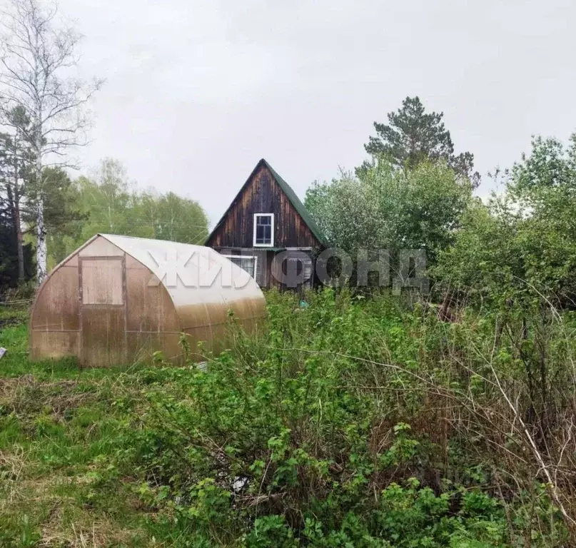 Участок в Новосибирская область, Новосибирск ул. Толстого, 125 (4.0 ... - Фото 1
