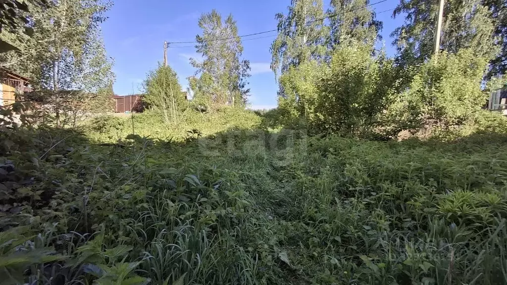 Участок в Алтай, Майминский район, с. Майма ул. 50 лет Победы (8.3 ... - Фото 1