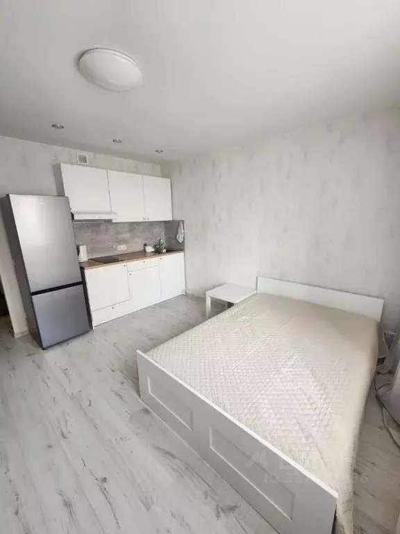 Студия Санкт-Петербург просп. Королева, 62 (24.3 м) - Фото 1