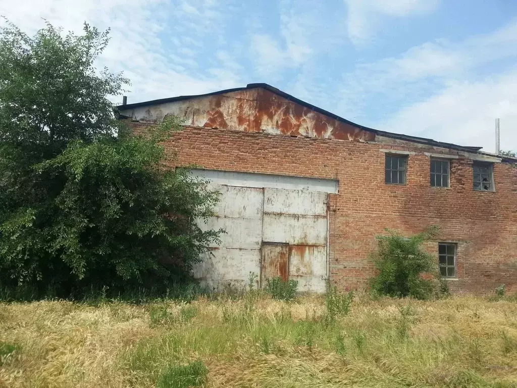 Участок в Ростовская область, Багаевский район, Красненское с/пос, ... - Фото 1