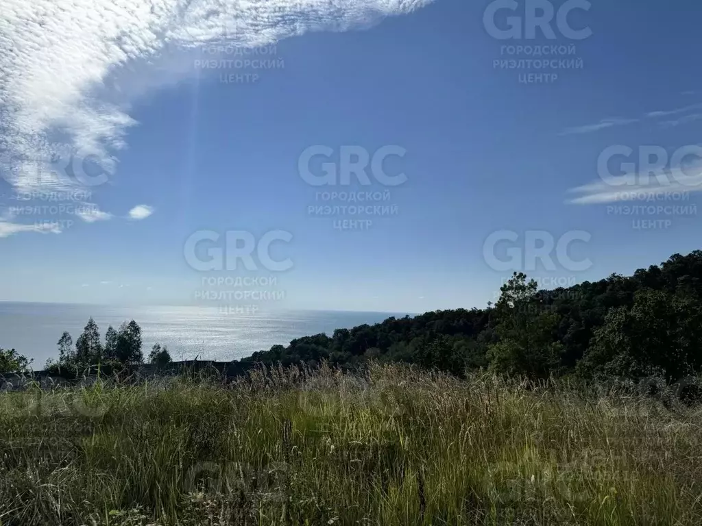 Участок в Краснодарский край, Сочи Звездная ул. (5.0 сот.) - Фото 2