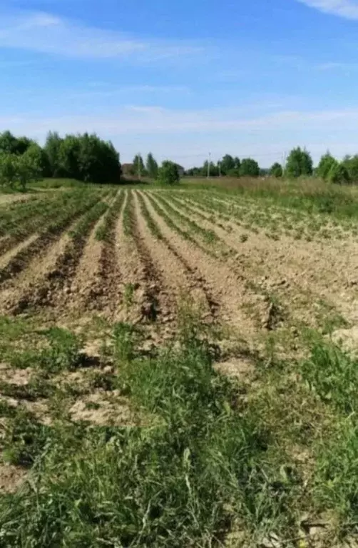 Участок в Калужская область, Малоярославецкий муниципальный округ, д. ... - Фото 1