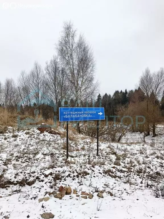 Участок в Калужская область, Боровский муниципальный округ, деревня ... - Фото 1