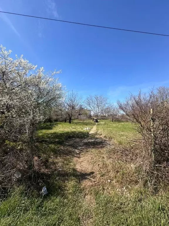 Участок в Севастополь Сапун-гора СНТ,  (11.0 сот.) - Фото 2