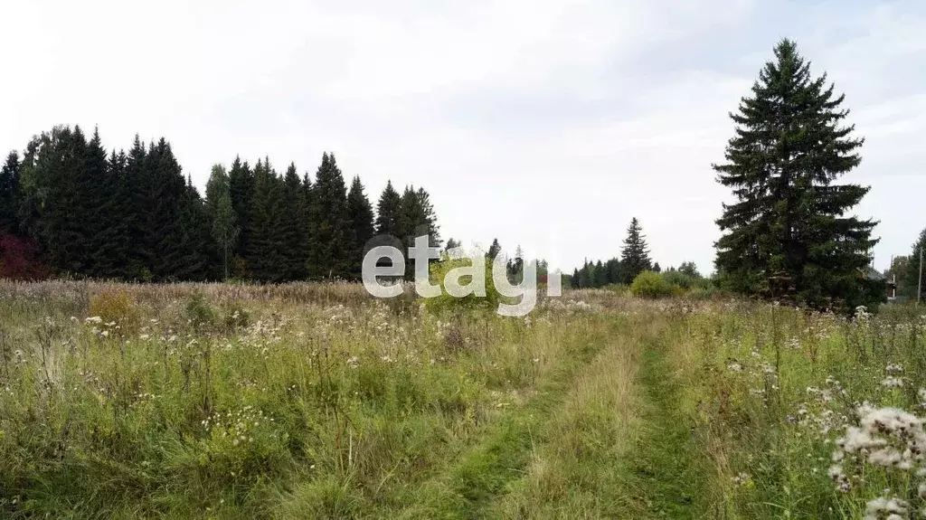 Участок в Свердловская область, Тугулымский муниципальный округ, пос. ... - Фото 1