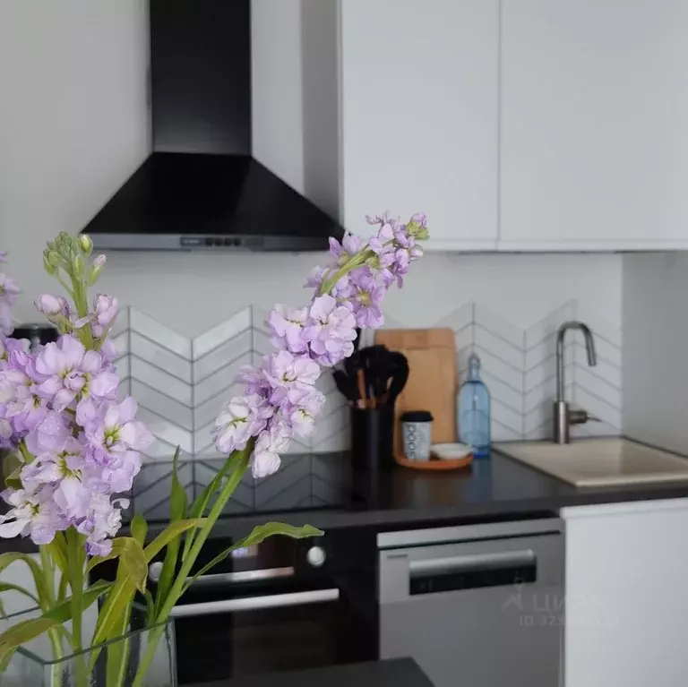 Студия Новосибирская область, Новосибирск ул. Дунаевского, 14 (28.0 м) - Фото 1