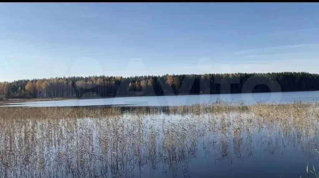 Участок 3,2 га (СНТ, ДНП) - Фото 0