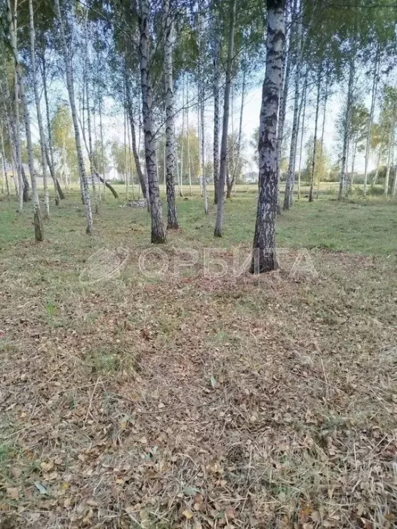 Участок в Тюменская область, Тюмень  (10.0 сот.) - Фото 0