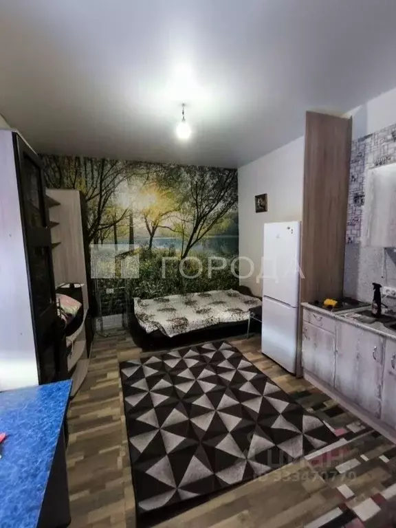 1-к кв. Алтайский край, Барнаул ул. 40 лет Октября, 29А (18.7 м) - Фото 1