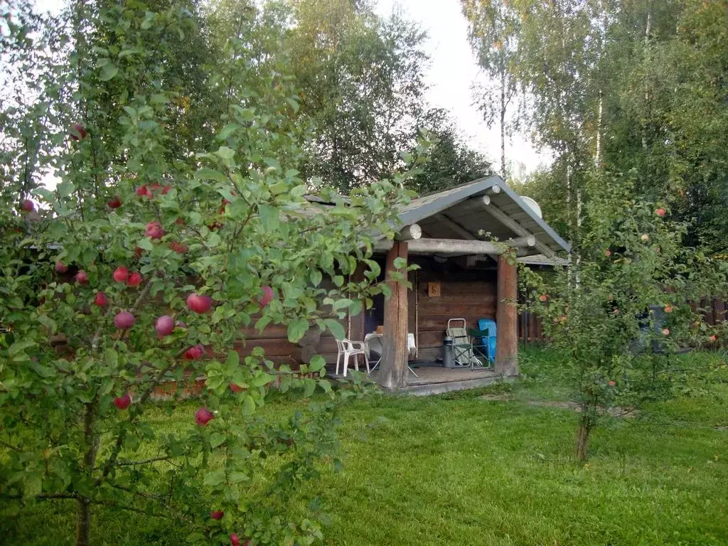 Дом в Московская область, Истра муниципальный округ, д. Духанино ул. ... - Фото 2