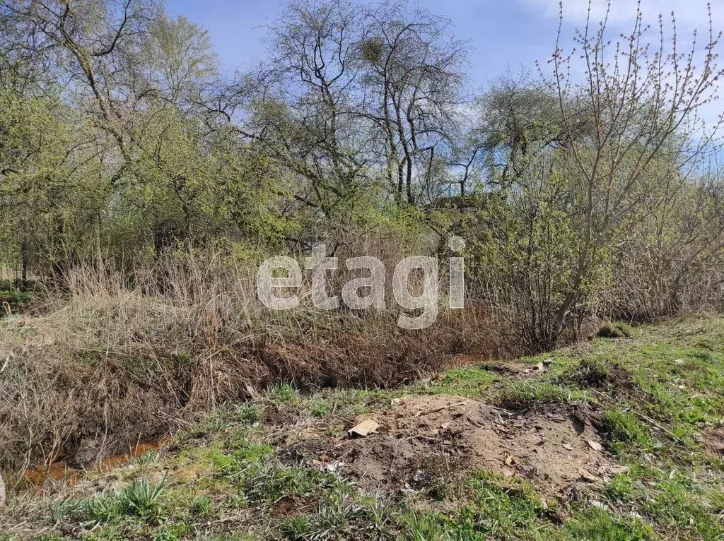 Участок в Свердловская область, Талица ул. Бажова (14.8 сот.) - Фото 0