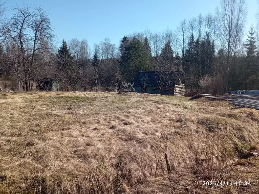 Участок в Ленинградская область, Лужский район, Толмачевское городское ... - Фото 2