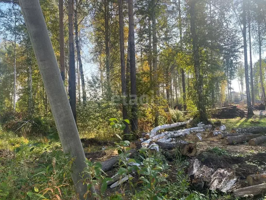 Участок в Свердловская область, Екатеринбург Аэродром ДНП, 42 (11.6 ... - Фото 1