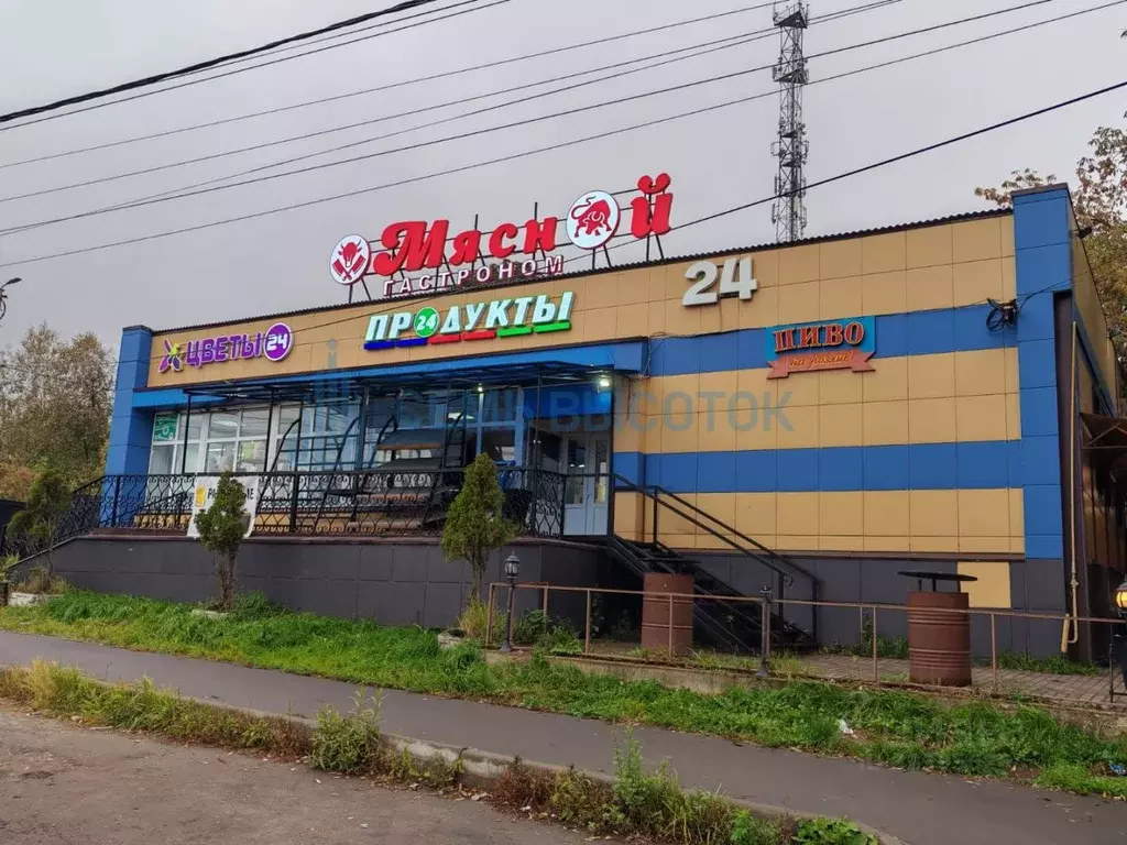 Помещение свободного назначения в Московская область, Домодедово ... - Фото 1