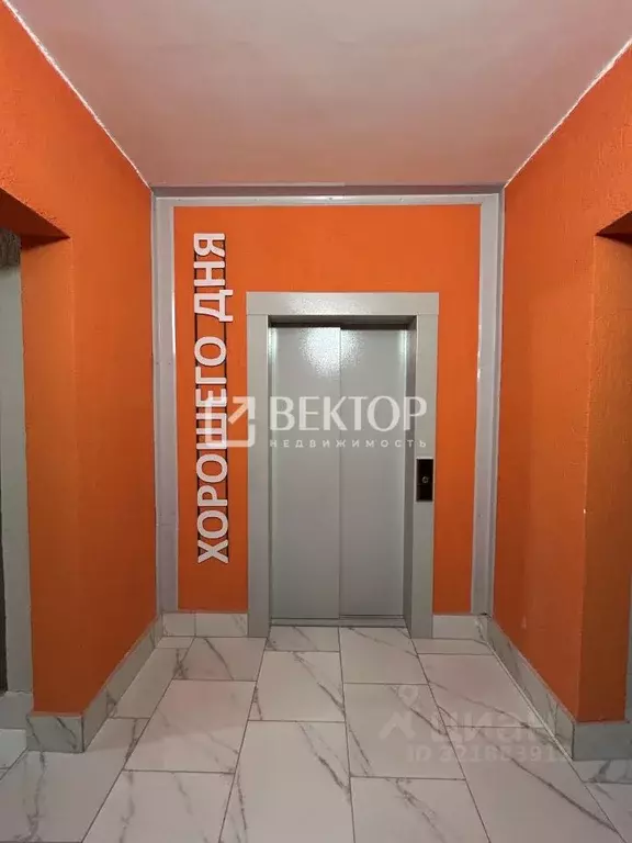 2-к кв. Костромская область, Кострома ул. Димитрова, 17 (51.0 м) - Фото 0