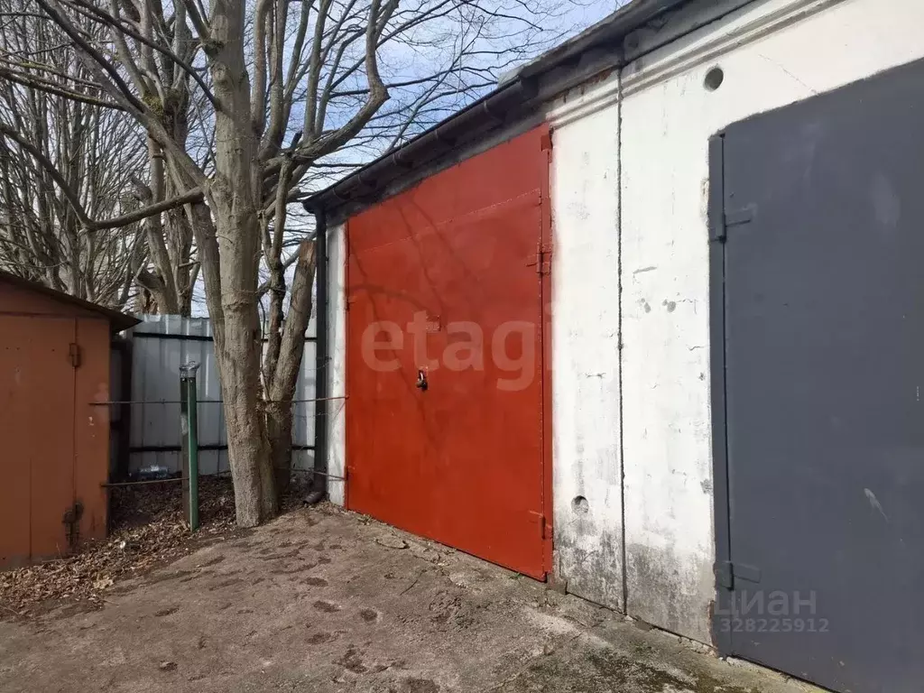 Гараж в Калининградская область, Калининград Молодежная ул., 31 (20 м) - Фото 1