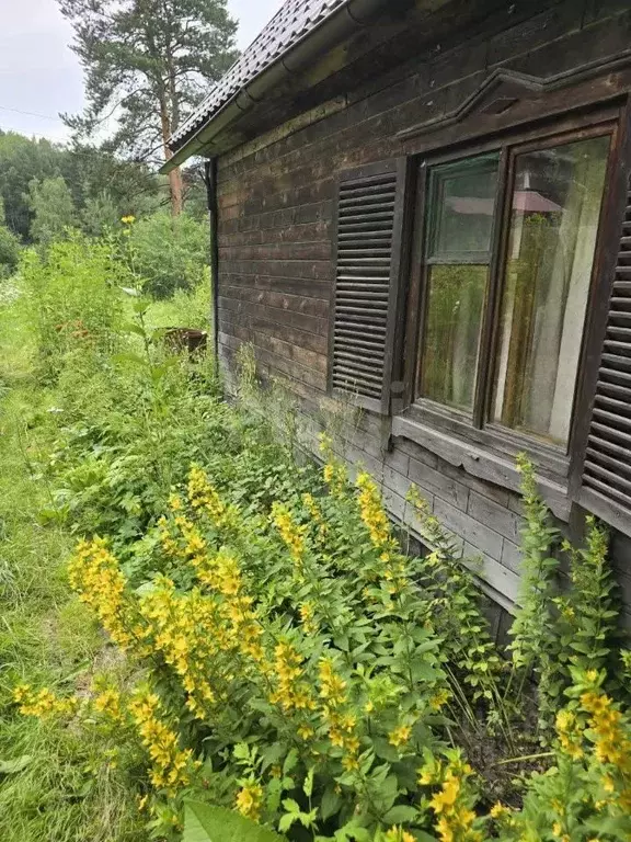 Дом в Кемеровская область, Новокузнецк Шахтостроитель СНТ,  (54 м) - Фото 1