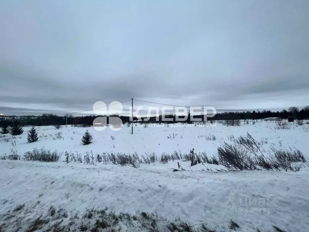 Участок в Пермский край, Чернушинский городской округ, с. Деменево ул. ... - Фото 1