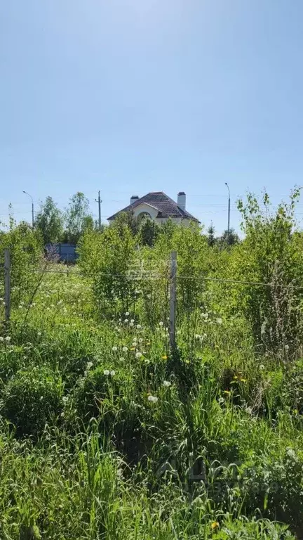 Участок в Москва Марушкинское поселение, д. Акиньшино, Акиньшино кп, 7 ... - Фото 2