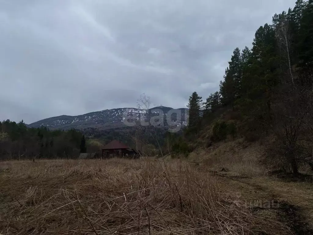 Участок в Алтай, Чойский район, с. Кара-Торбок ул. Дилевская (24.52 ... - Фото 1