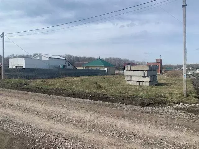 Участок в Новосибирская область, Новосибирский район, Мичуринский ... - Фото 1